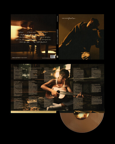David Kushner - Devotion vinyl record cover