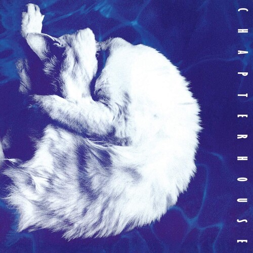 Chapterhouse - Whirlpool (Blue) [Colored Vinyl] [Limited Edition] (Slv) (Hol)