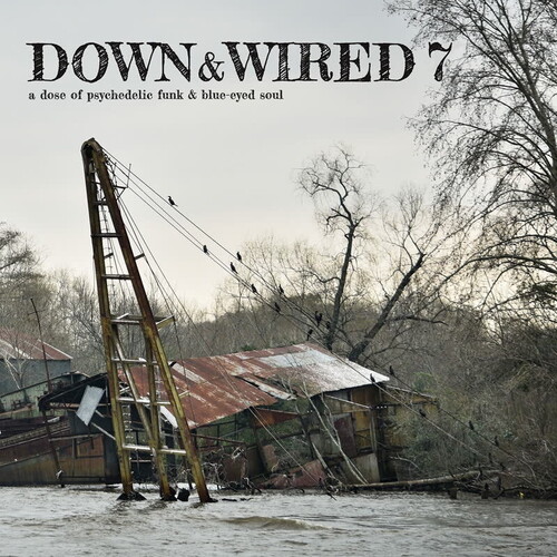 Down & Wired 7 (Various Aritst)