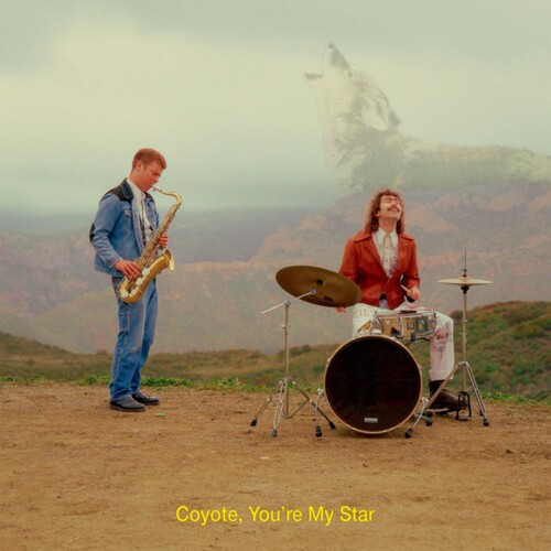 Coyote, You're My Star - Brown