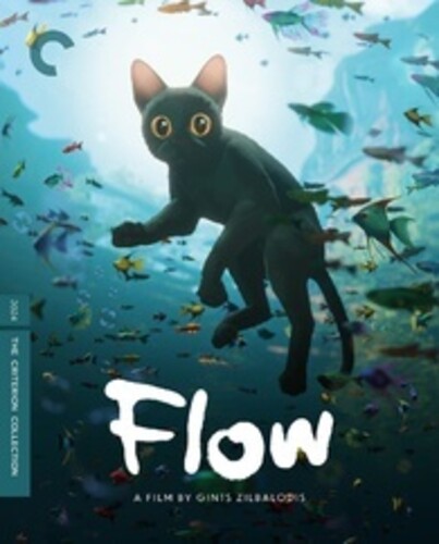 Flow (Criterion Collection)