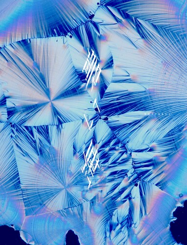 Dustcell - Aoi Umi (Limited Edition)