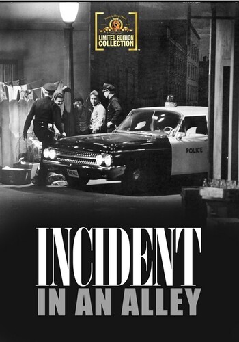 Incident in an Alley