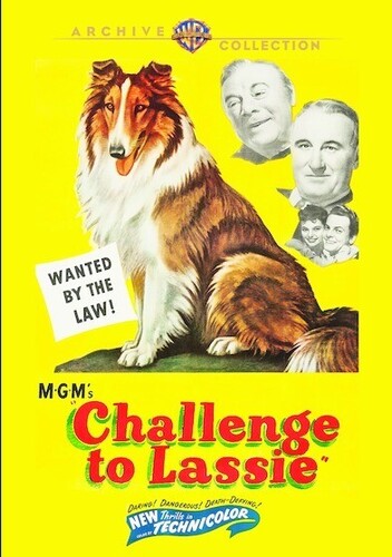 CHALLENGE TO LASSIE (1949)