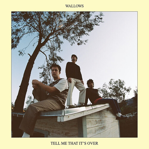 Wallows - Tell Me That It’s Over [Yellow LP]