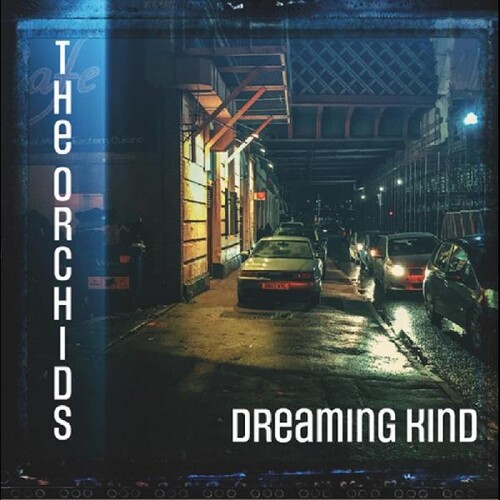 Orchids - Dreaming Kind vinyl record cover