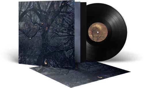 ...by the Shadows...