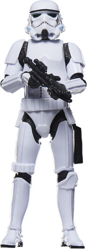 SW VIN TYPOGRAPHY