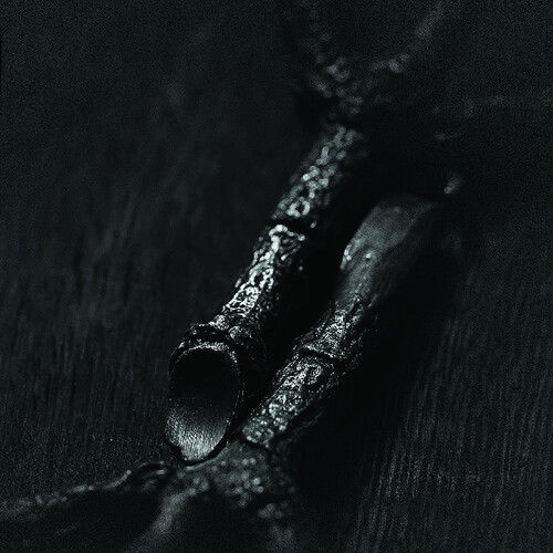 Trepaneringsritualen - Algir eller Algir i Merkstave