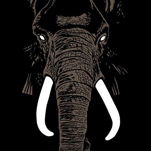 Palm Unit - Don't Buy Ivory Anymore! - The Music of Henri Texier vinyl record cover