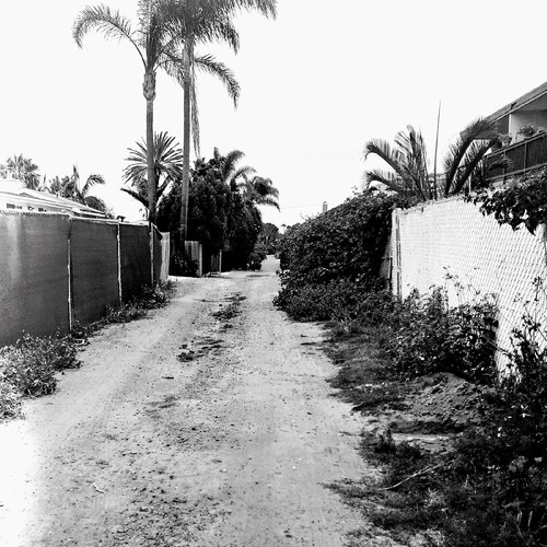 Throwing Muses - Sun Racket [Colored Vinyl] [Limited Edition] (Wht) [Indie Exclusive] [Download Included]