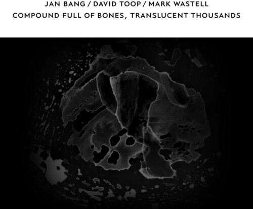 Jan Bang  / Toop,David / Wastell,Mark - Compound Full Of Bones Translucent Thousands