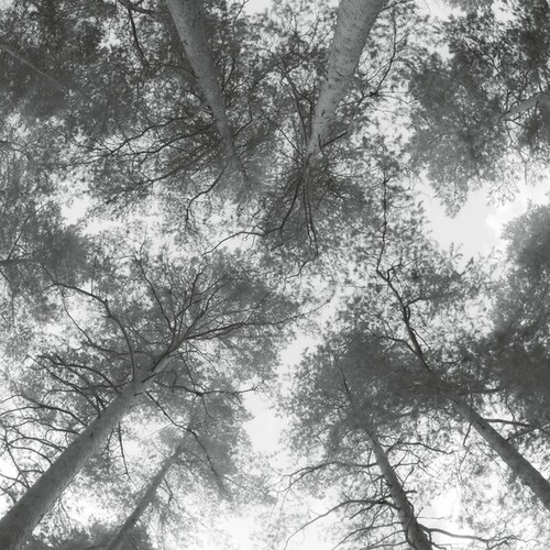 Traveller Song/ Thanksong