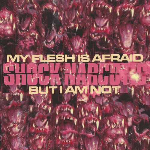 Shock Narcotic - My Flesh Is Afraid But I Am Not vinyl record cover