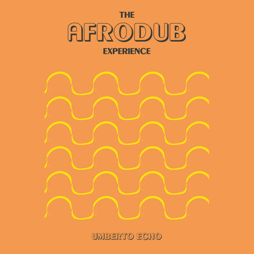The Afrodub Experience