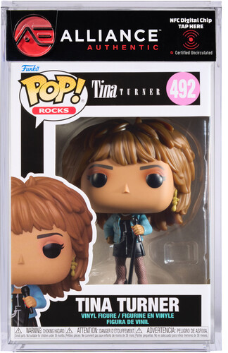 TINA TURNER WHAT'S LOVE GOT TO DO WITH IT