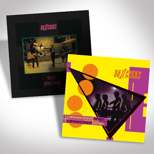 Buzzcocks Vinyl Bundle