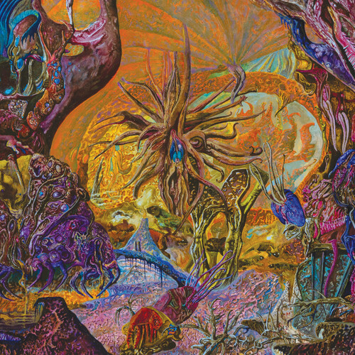 Chytridiomycosis Relinquished - Orange/royal Blue