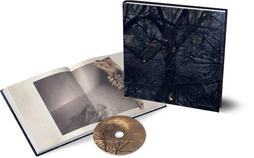 ...by the Shadows...