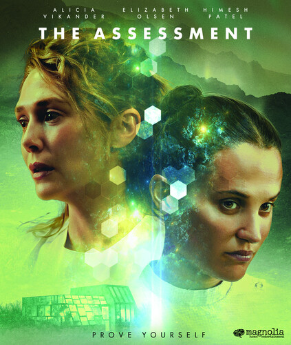 The Assessment