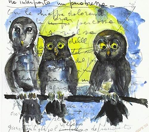 Gufi Allocchi Barbagianne E Altre Giovani Streghe