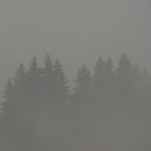 Donnerwetter