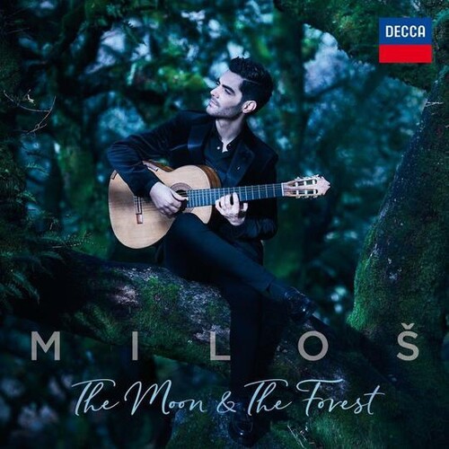 Moon & The Forest