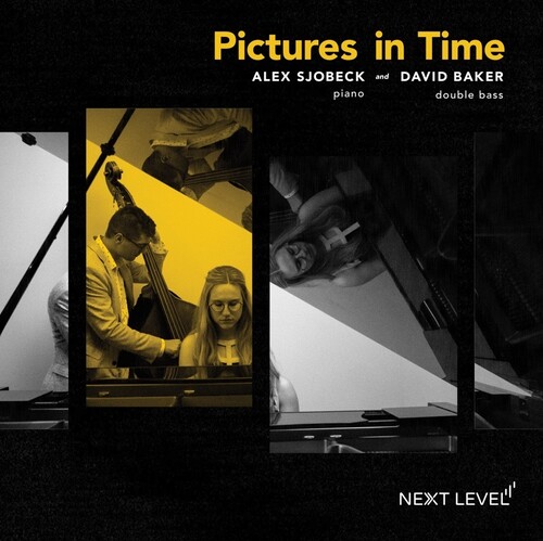 Pictures in Time