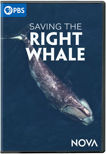 NOVA: Saving The Right Whale