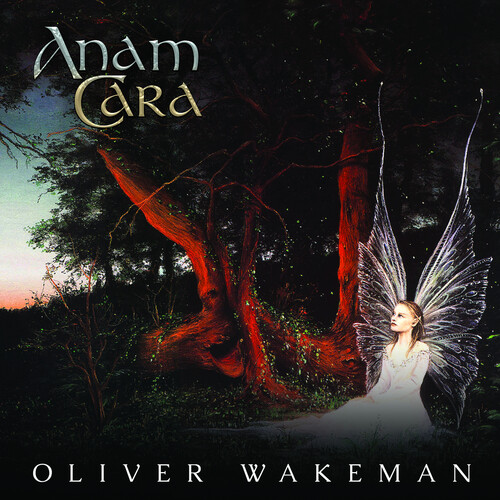Anam Cara [Import]