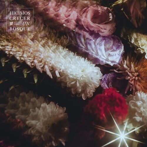 Hicimos Crecer Un Bosque