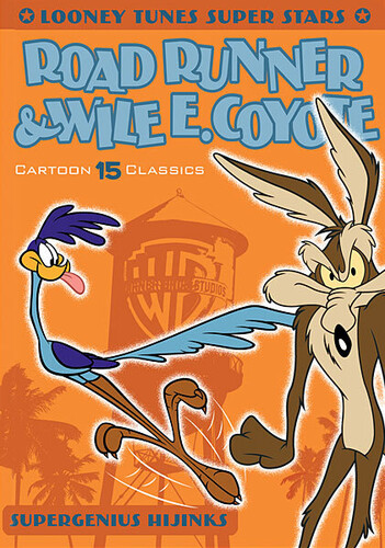wile e coyote and roadrunner friends