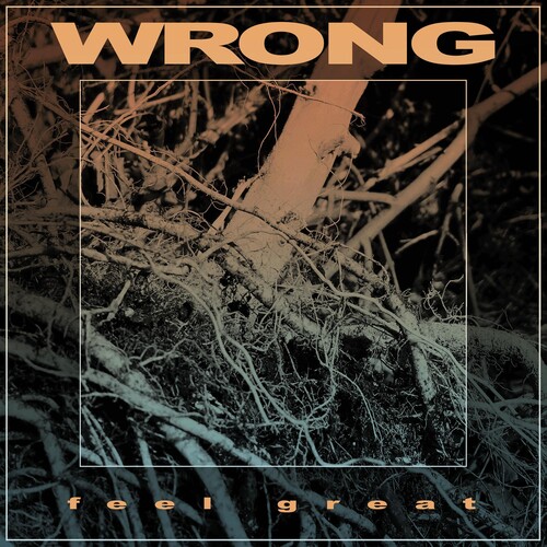 Wrong - Feel Great vinyl record cover