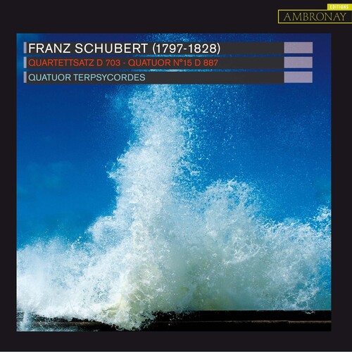 Quartettsatz