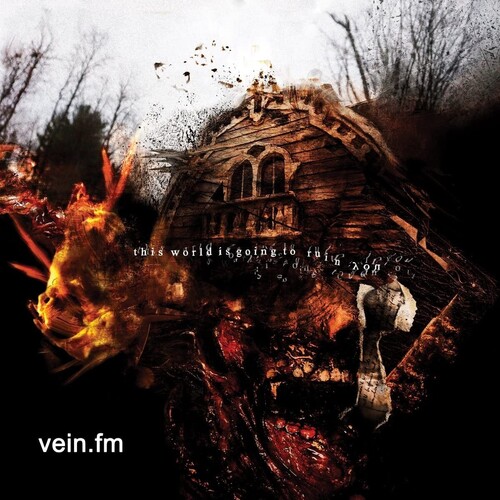 Vein.Fm - This World Is Going To Ruin You [LP]