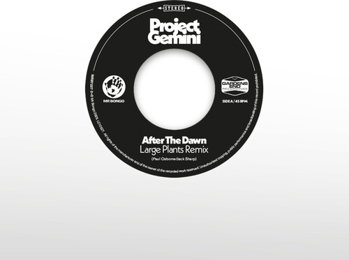 After The Dawn - Large Plants Remix / Darkness Rising