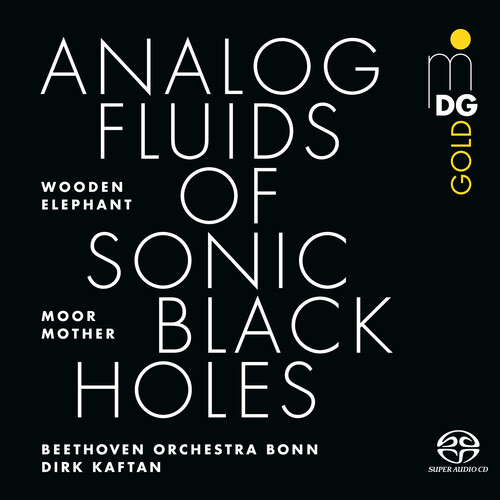 Moor Mother - Analog Fluids Of Sonic Black Holes
