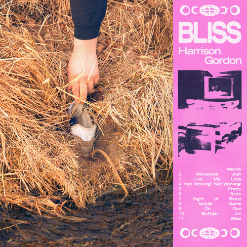Harrison Gordon - Bliss vinyl record cover