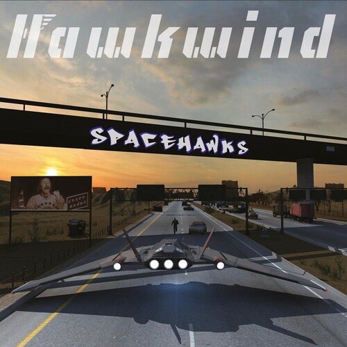 Spacehawks