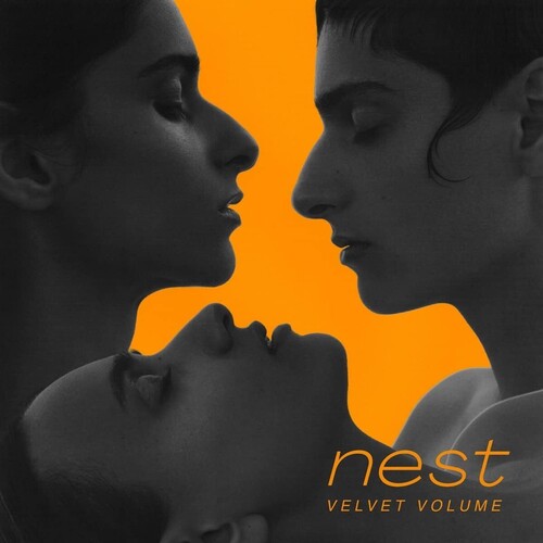 NEST VINYL