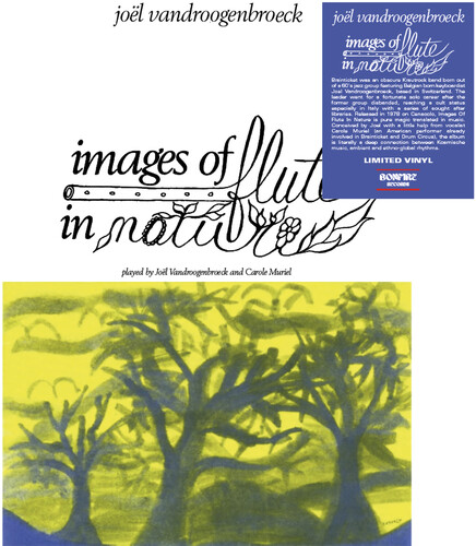 Joel Vandroogenbroeck - Images Of Flute In Nature vinyl record cover