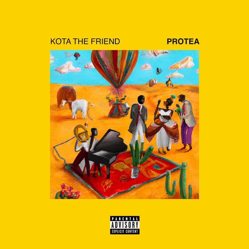 Kota the Friend - Protea