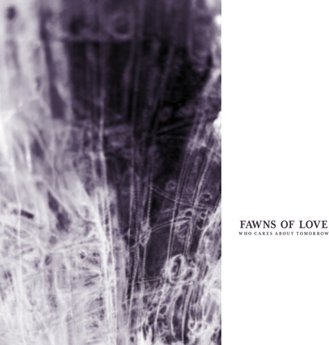Fawns of Love - Who Cares About Tomorrow vinyl record cover