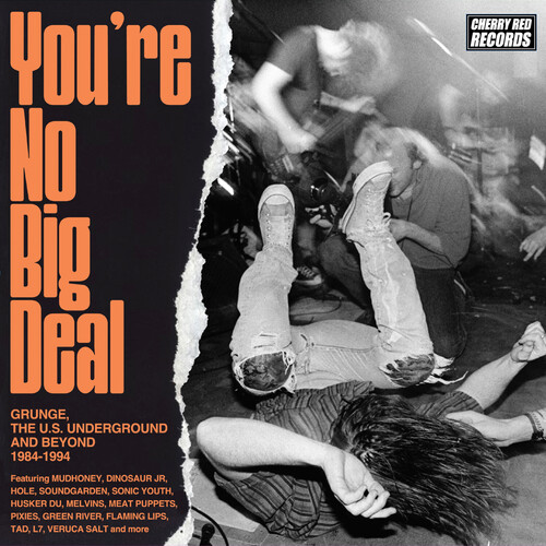 You're No Big Deal: Grunge, The U.S. Underground & Beyond 1984-1994 /  Various [Import]