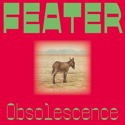OBSOLESCENCE