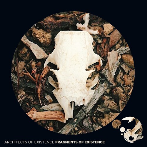 FRAGMENTS OF EXISTENCE