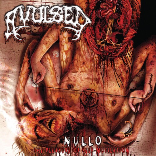 Nullo [The Pleasure Of Self Mutilation]