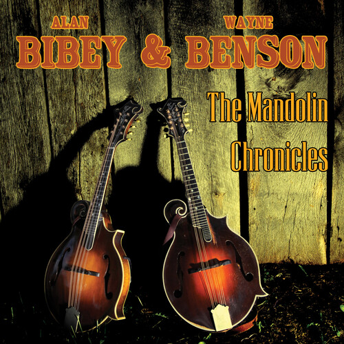 The Mandolin Chronicles