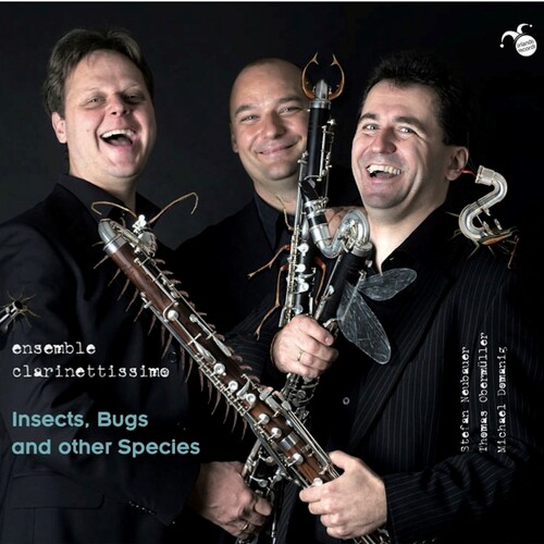 Insects Bugs & Other Species