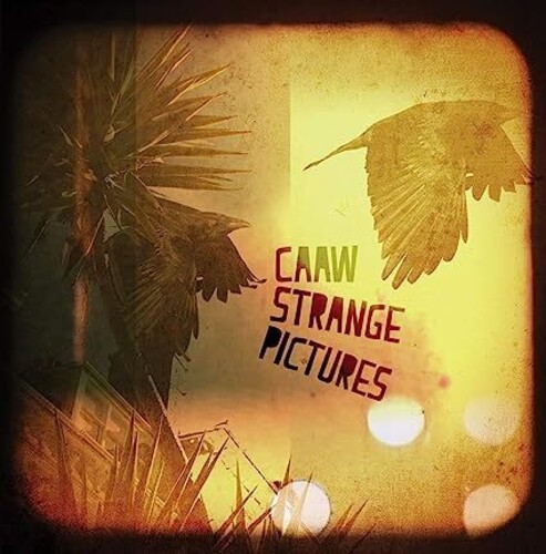 STRANGE PICTURES